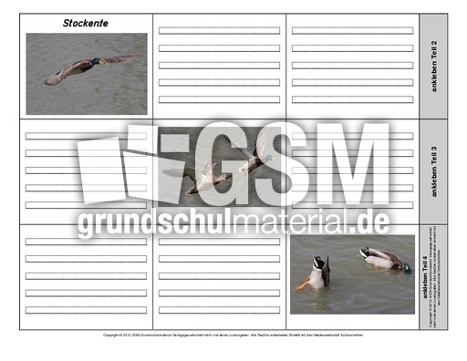 Leporello-Stockente-2-1-2.pdf